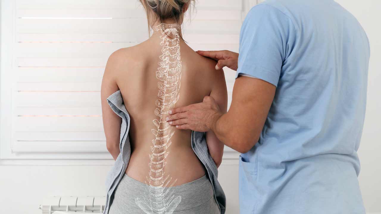 Spine