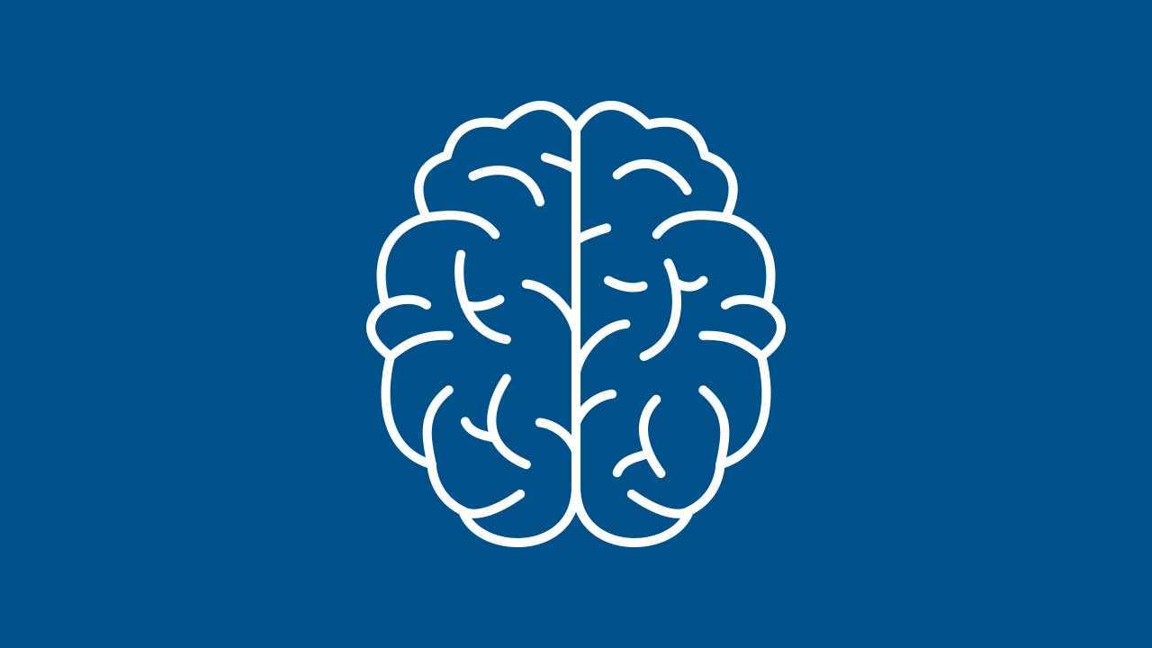 brain-202507.jpg